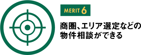 MERIT 6